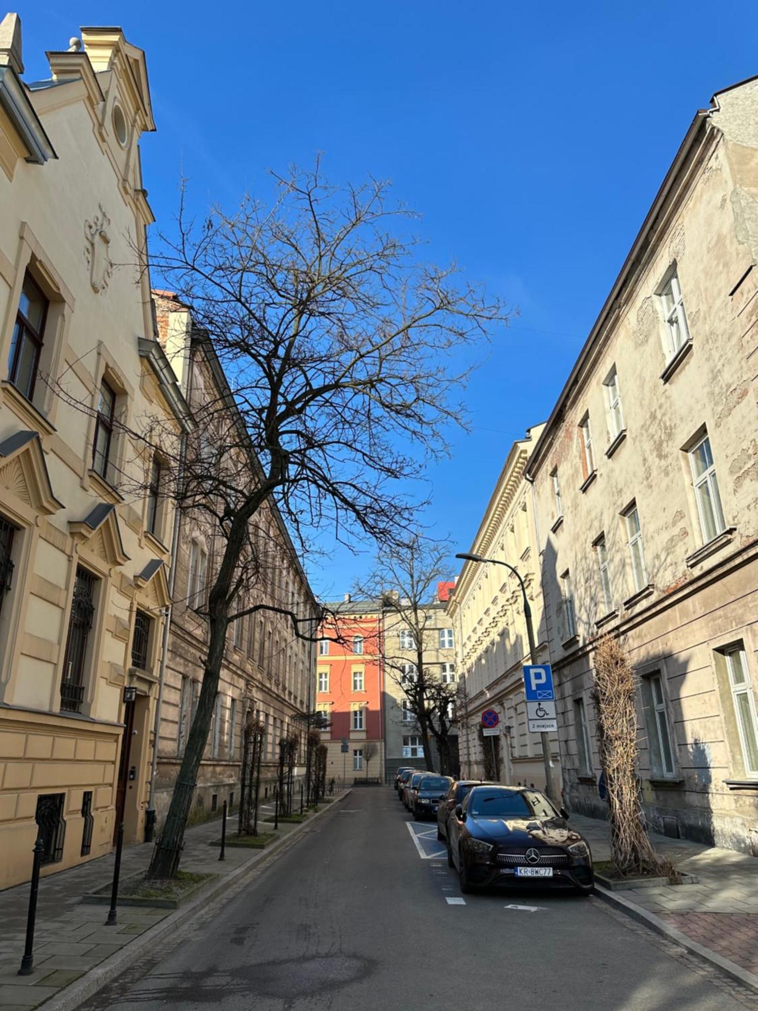Perfect Place To Stay In Krakow City Center 40M2 W4 Esterno foto